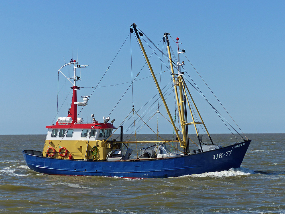 For Sale, Steel shrimptrawler UK-77